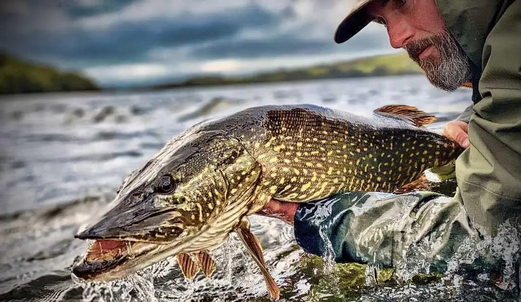 Best Hooks & Lures for Successful Pike Fishing(01)