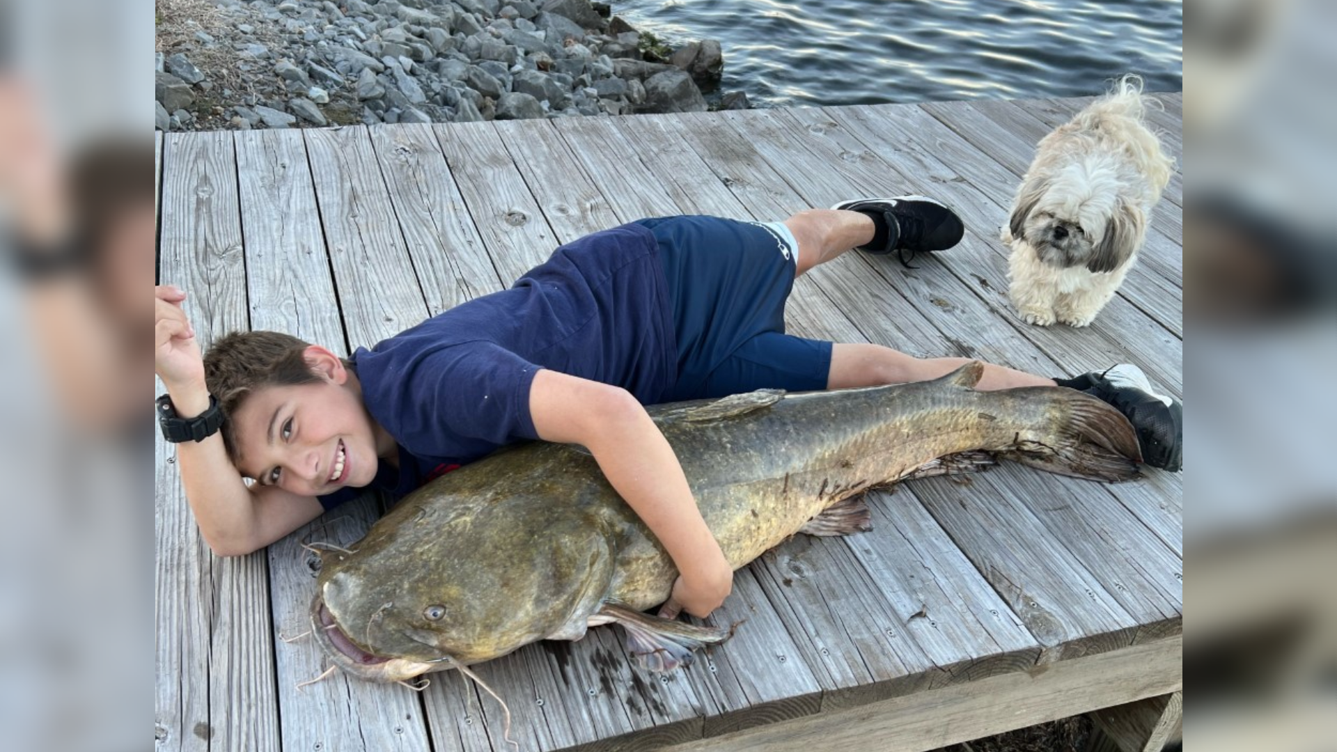 Catfish A Guide to Habitat, Life Cycle, and Catching Tips FishOnTips